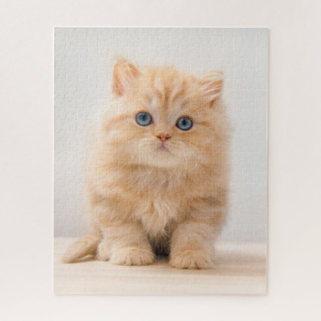 Puzzle Animaux de bébés cutest | A British Longhair Kitte (Vertical)
