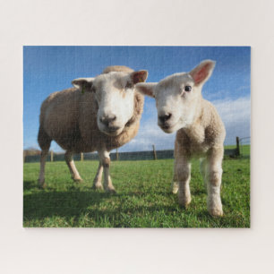 Puzzle Animaux de bébés cutest Agneau nouveau-né & mama