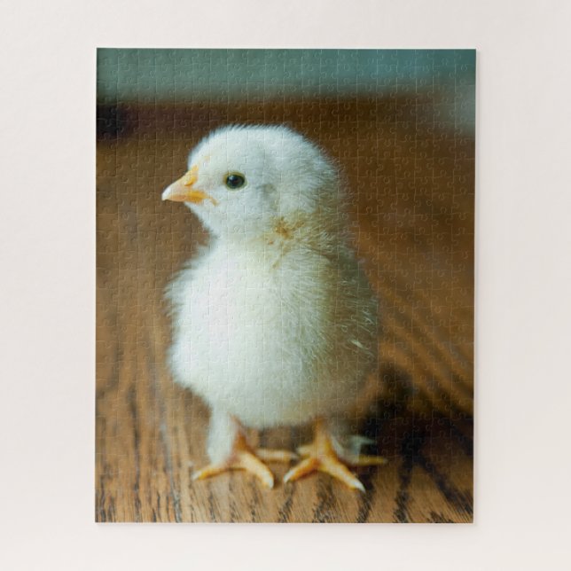 Puzzle Animaux de bébés cutest | Baby Chick (Vertical)