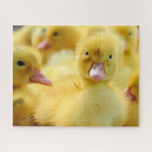 Puzzle Animaux de bébés cutest   Baby Duck Group