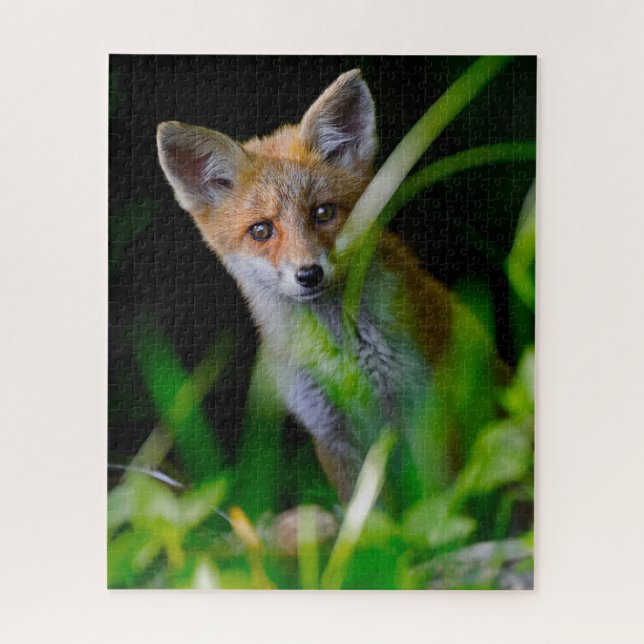 Puzzle Animaux de bébés cutest | Baby Red Fox (Vertical)
