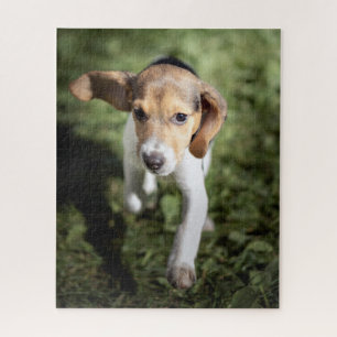 Puzzle Animaux de bébés cutest Chiot Beagle