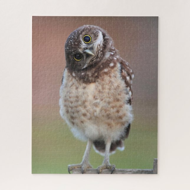 Puzzle Animaux de bébés cutest | Chouette à tête bractée (Vertical)