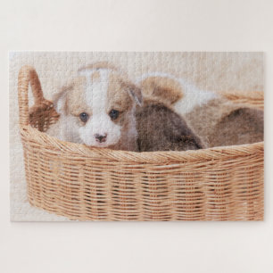 Puzzle Animaux de bébés cutest   Corgi Miny Puppy