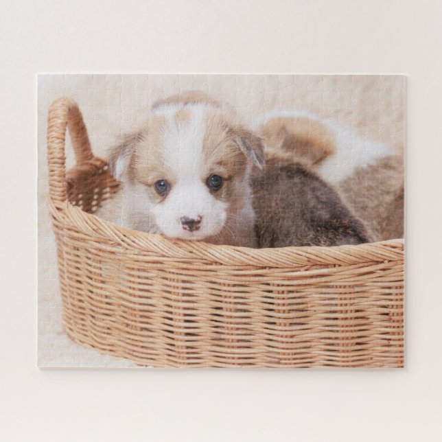 Puzzle Animaux de bébés cutest | Corgi Miny Puppy (Horizontal)