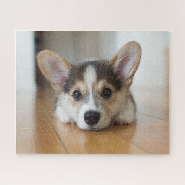 Puzzle Animaux de bébés cutest | Corgi Puppy (Horizontal)