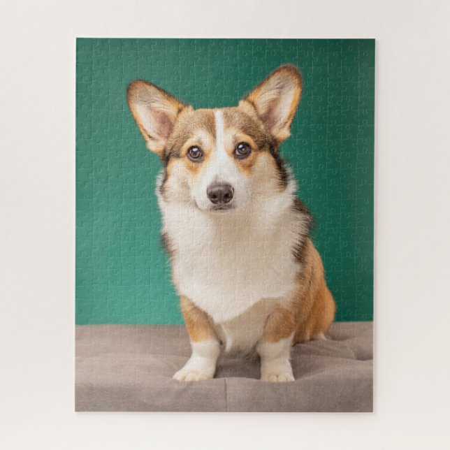 Puzzle Animaux de bébés cutest | Corgi sur Turquoise (Vertical)