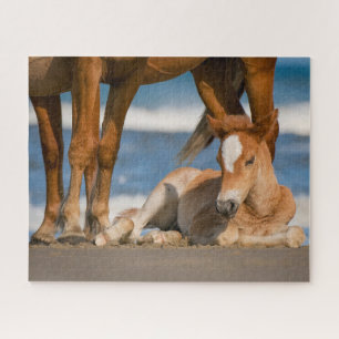 Puzzle Animaux de bébés cutest Corolla nouvellement née