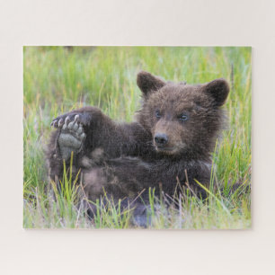 Puzzle Animaux de bébés cutest   Cute Brown Bear Cub Joue