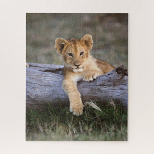 Puzzle Animaux de bébés cutest Cute Lion Cub