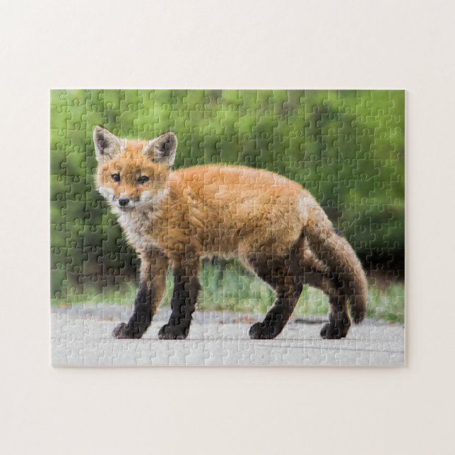 Puzzle Animaux de bébés cutest | Cutey Fox (Horizontal)