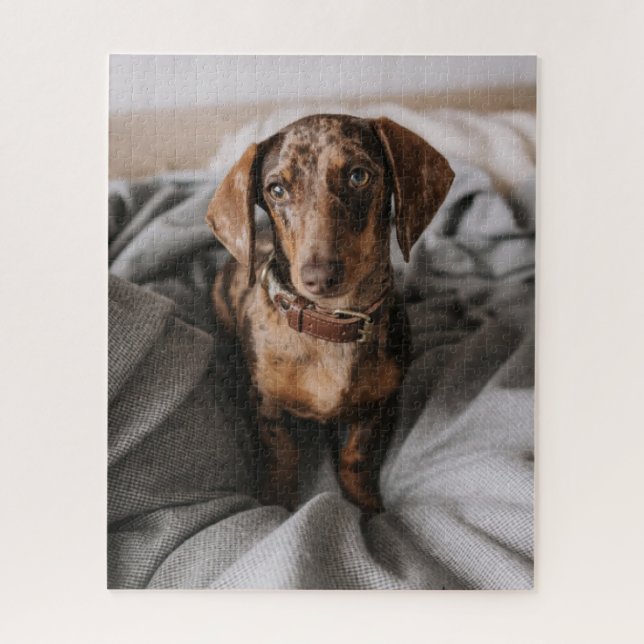 Puzzle Animaux de bébés cutest | Dachshund Dachshund Dach (Vertical)