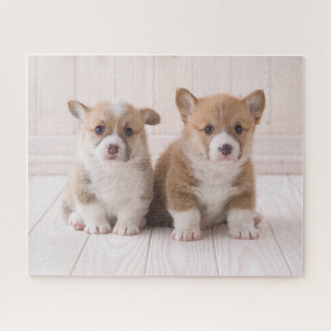 Puzzle Animaux de bébés cutest | Deux Bébés Corgis assis (Horizontal)