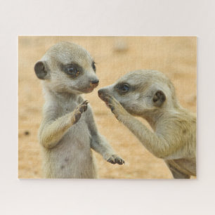 Puzzle Animaux de bébés cutest Deux jeunes Meerkats