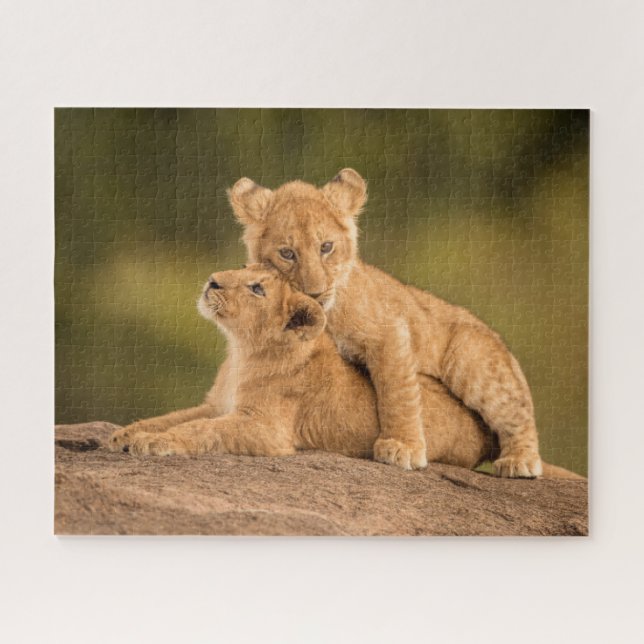 Puzzle Animaux de bébés cutest | Deux Lions Cubs (Horizontal)