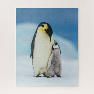 Puzzle Animaux de bébés cutest Empereur Penguin Chick