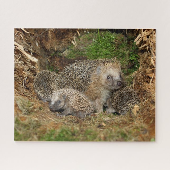 Puzzle Animaux de bébés cutest | Famille Hérisson (Horizontal)