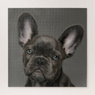 Puzzle Animaux de bébés cutest French Bulldog