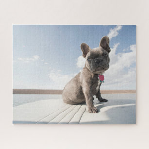Puzzle Animaux de bébés cutest   French Bulldog Booking