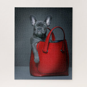 Puzzle Animaux de bébés cutest   French Bulldog dans le s