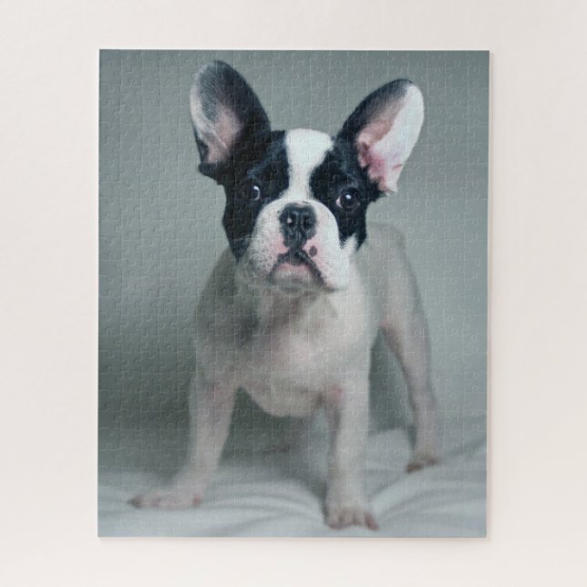 Puzzle Animaux de bébés cutest | French Bulldog Puppy (Vertical)