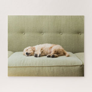 Puzzle Animaux de bébés cutest   Golden Retriever Puppy 2