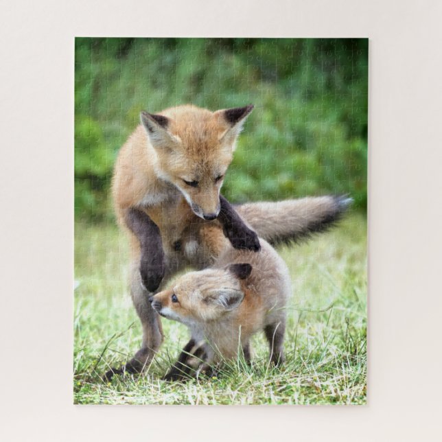 Puzzle Animaux de bébés cutest | Kit et maman Fox adorabl (Vertical)