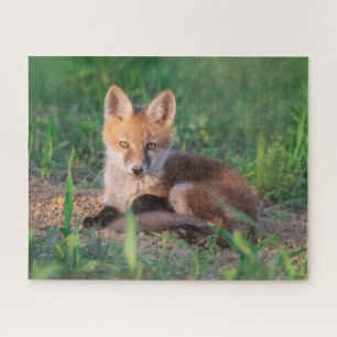 Puzzle Animaux de bébés cutest   Kit Red Fox Relaxant