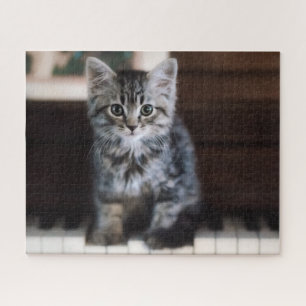 Puzzle Animaux de bébés cutest Kitten sur Touches de pi