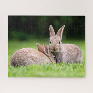 Puzzle Animaux de bébés cutest   Lapins de lapin sauvage