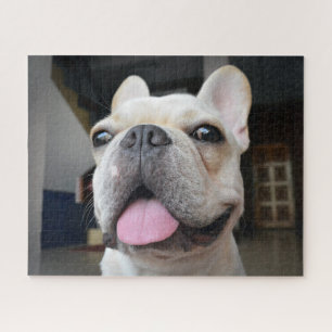 Puzzle Animaux de bébés cutest Le visage de Bulldog