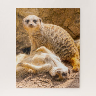 Puzzle Animaux de bébés cutest   Meerkats joueurs
