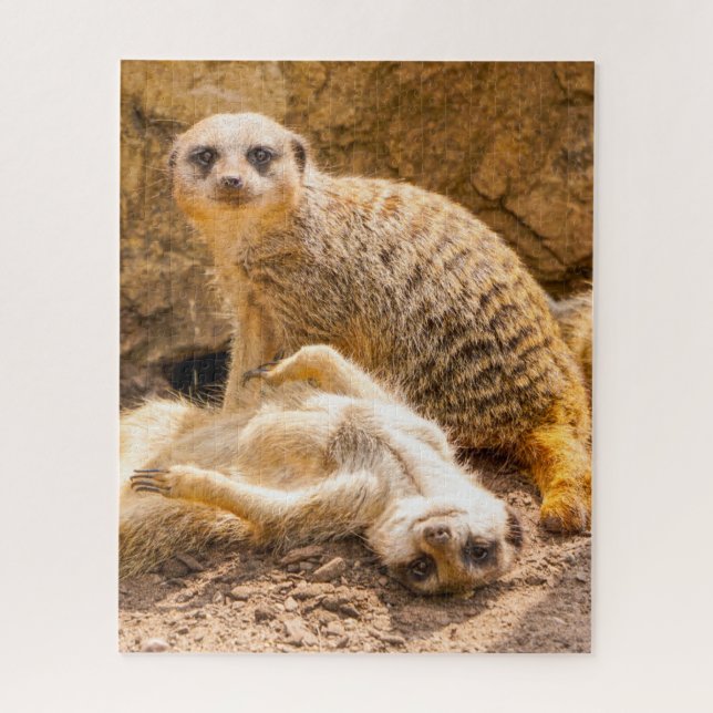 Puzzle Animaux de bébés cutest | Meerkats joueurs (Vertical)