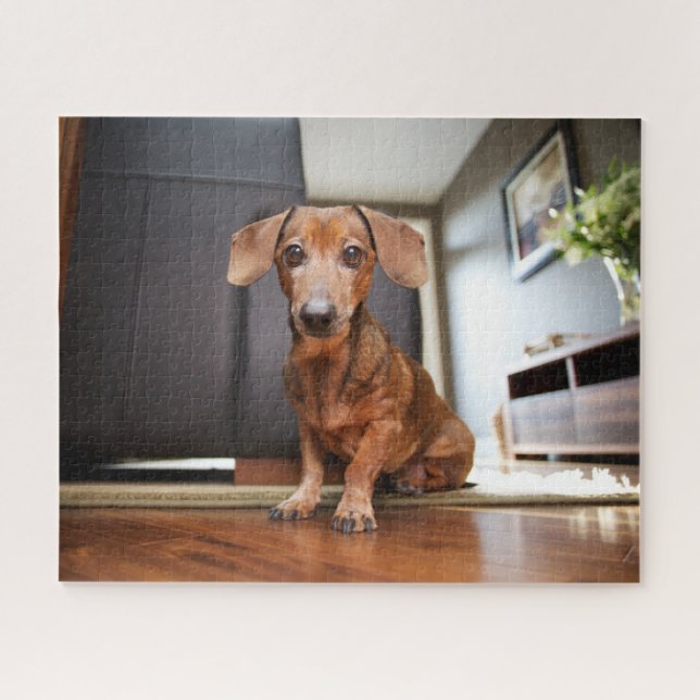 Puzzle Animaux de bébés cutest | Mini chiot (Horizontal)