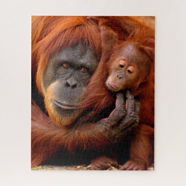 Puzzle Animaux de bébés cutest | Orangutan Maman & Baby (Vertical)