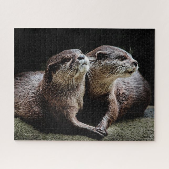 Puzzle Animaux de bébés cutest | Otters tenant les mains (Horizontal)