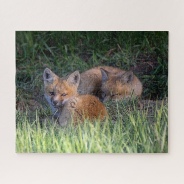 Puzzle Animaux de bébés cutest | Paire de frères et soeur (Horizontal)