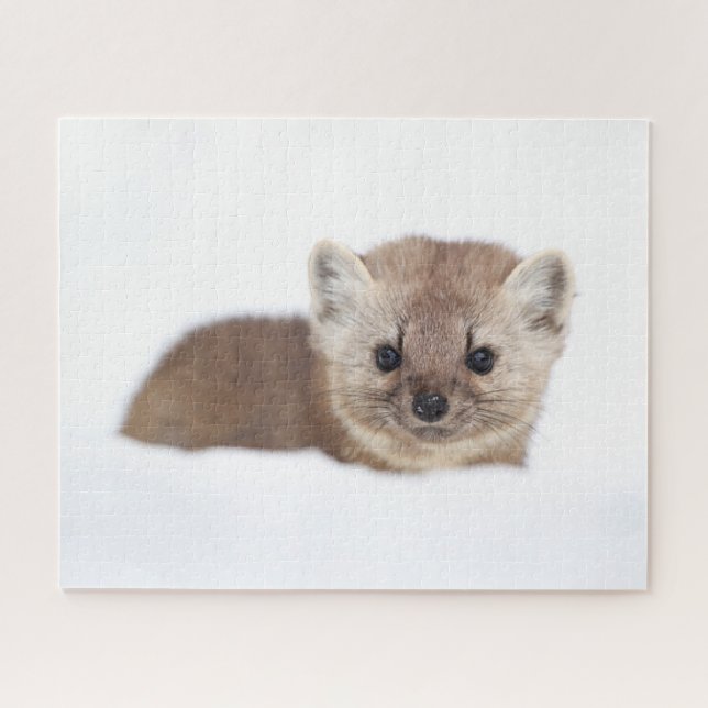 Puzzle Animaux de bébés cutest | Pine Marten (Horizontal)