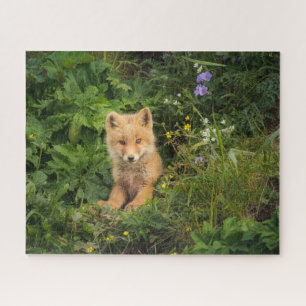 Puzzle Animaux de bébés cutest Renard rouge à Umnak Ala