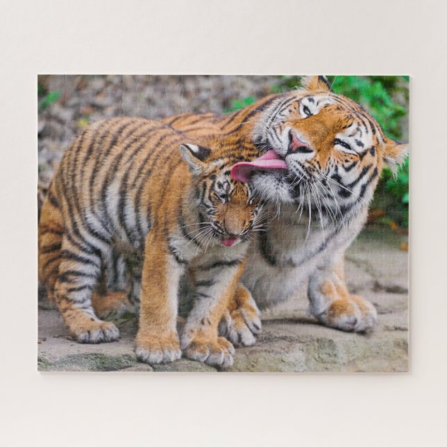 Puzzle Animaux de bébés cutest | Sibérie Tiger Famille (Horizontal)