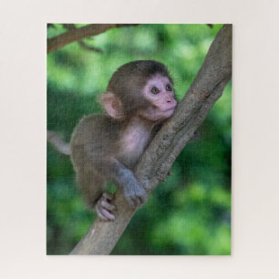 Puzzle Animaux de bébés cutest Singe bébé