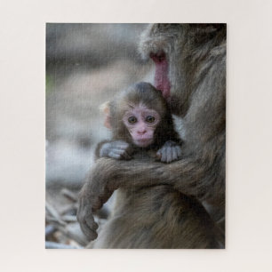 Puzzle Animaux de bébés cutest   Singe et bébé japonais