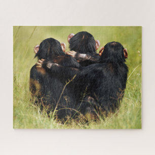 Puzzle Animaux de bébés cutest   Trois chimpanzés en trai