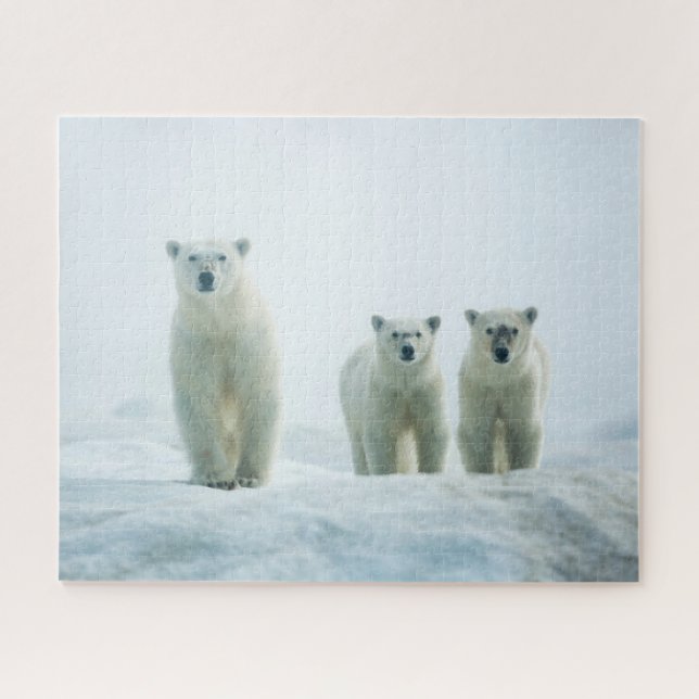 Puzzle Animaux de bébés cutest | Trois jeunes ours polair (Horizontal)