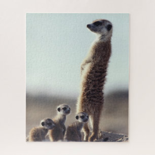 Puzzle Animaux de bébés cutest Une famille de Meerkats