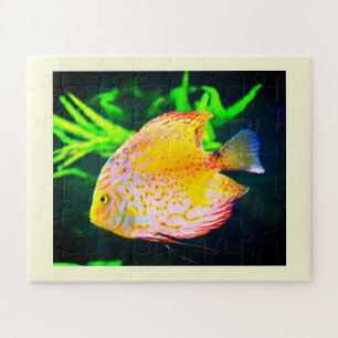 Puzzle Animaux de poissons de Discus