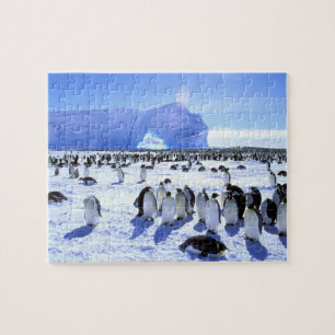Puzzle Antarctique, péninsule Antarctique, mer de Weddell