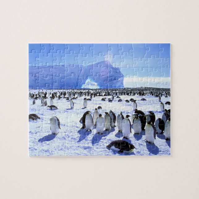 Puzzle Antarctique, péninsule Antarctique, mer de Weddell (Horizontal)