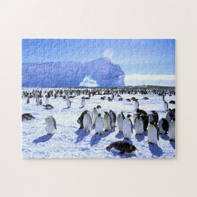 Puzzle Antarctique, péninsule Antarctique, mer de Weddell (Horizontal)