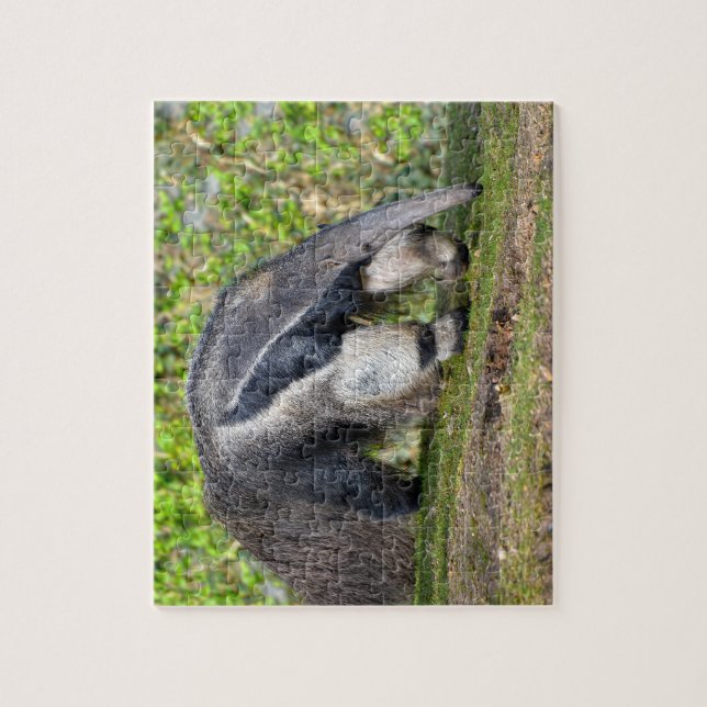 Puzzle Anteater géant marchant sur l'herbe (Vertical)